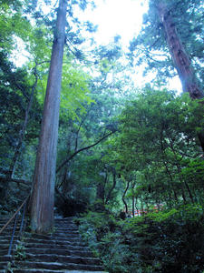 20100916_1145shuusei.jpg