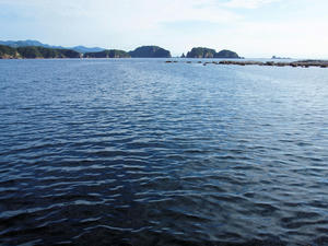 20100916_1253shuusei.jpg