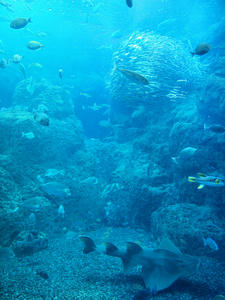 20100101_1146shuusei.jpg