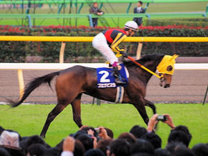 20101031_217shuusei.jpg