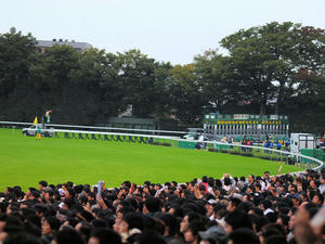 20101031_335shuusei.jpg