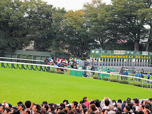20101031_349shuusei.jpg