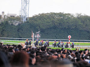 20101031_382shuusei.jpg