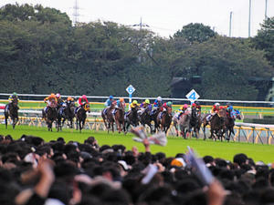 20101031_389shuusei.jpg