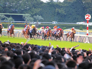 20101031_398shuusei.jpg