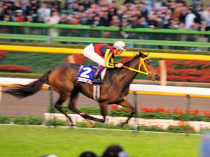 20101031_428shuusei.jpg