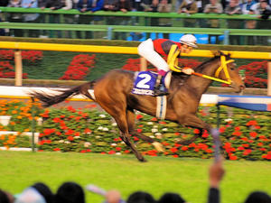 20101031_430shuusei.jpg