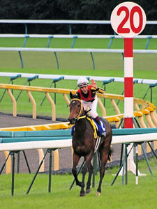 20101031_450shuusei.jpg
