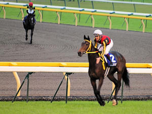 20101031_458shuusei.jpg