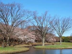 3e295a6d.jpg