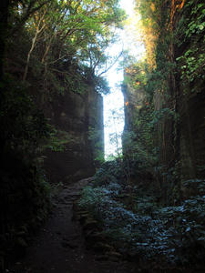 20101010_271shuusei.jpg