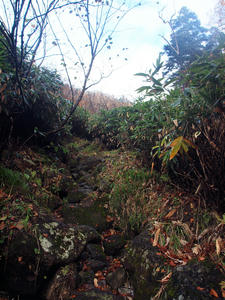 20101014_162shuusei.jpg