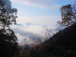 20101014_170shuusei.jpg