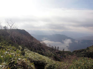 20101014_231shuusei.jpg