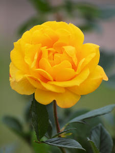 20101030_129shuusei.jpg