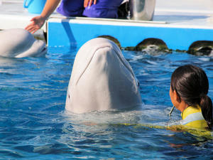 20101030_967shuusei.jpg