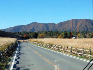 20101119_429shuusei.jpg