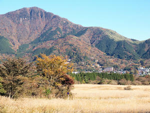 20101119_460shuusei.jpg