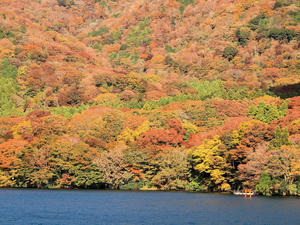 20101119_192shuusei.jpg