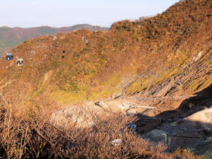 20101119_261shuusei.jpg