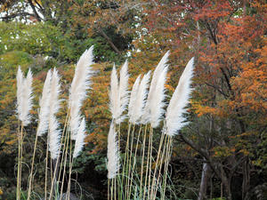 20101119_382shuusei.jpg