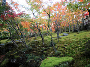 20101119_362shuusei.jpg