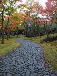 20101119_364shuusei.jpg