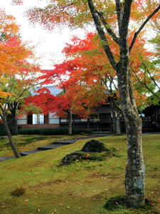 20101119_301shuusei.jpg