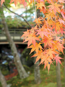 20101119_312shuusei.jpg