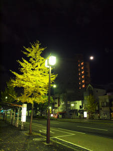 20101130_736shuusei.jpg