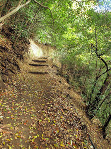 20101130_855shuusei.jpg