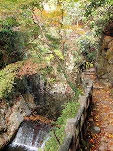 20101130_871shuusei.jpg