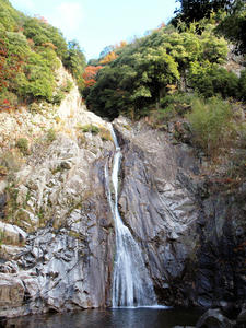 20101130_878shuusei.jpg