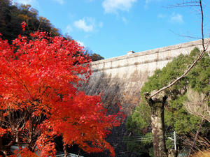 20101130_900shuusei.jpg