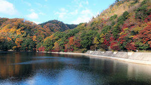 20101130_908shuusei.jpg