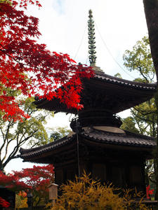 20101130_922shuusei.jpg