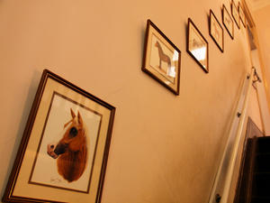20101130_1009shuusei.jpg
