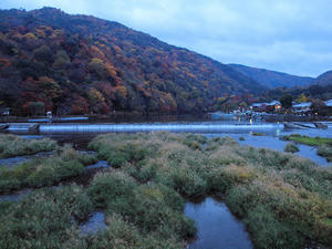 20101130_1251shuusei.jpg