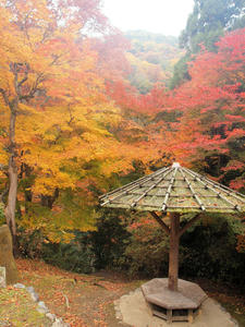 20101130_1369shuusei.jpg