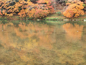 20101130_1383shuusei.jpg