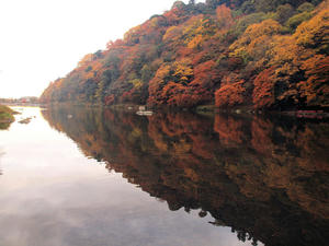 20101130_1394shuusei.jpg