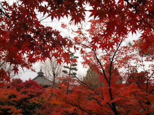 20101130_1484shuusei.jpg