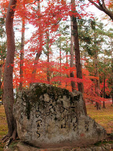 20101130_1521shuusei.jpg