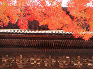 20101130_1538shuusei.jpg