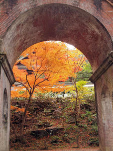 20101130_1547shuusei.jpg