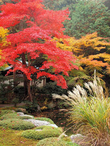 20101130_19shuusei.jpg