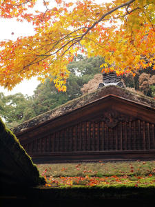 20101130_22shuusei.jpg