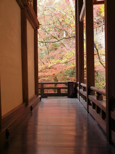 20101130_82shuusei.jpg