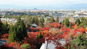 20101130_88shuusei.jpg