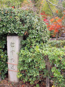 20101130_121shuusei.jpg